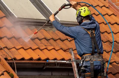 Démoussage et hydrofuge de toiture à Taillée